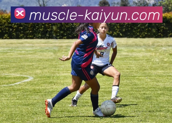 开云平台服务体系